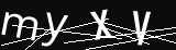 verifycode